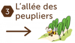 Allée des peupliersAllée des peupliers