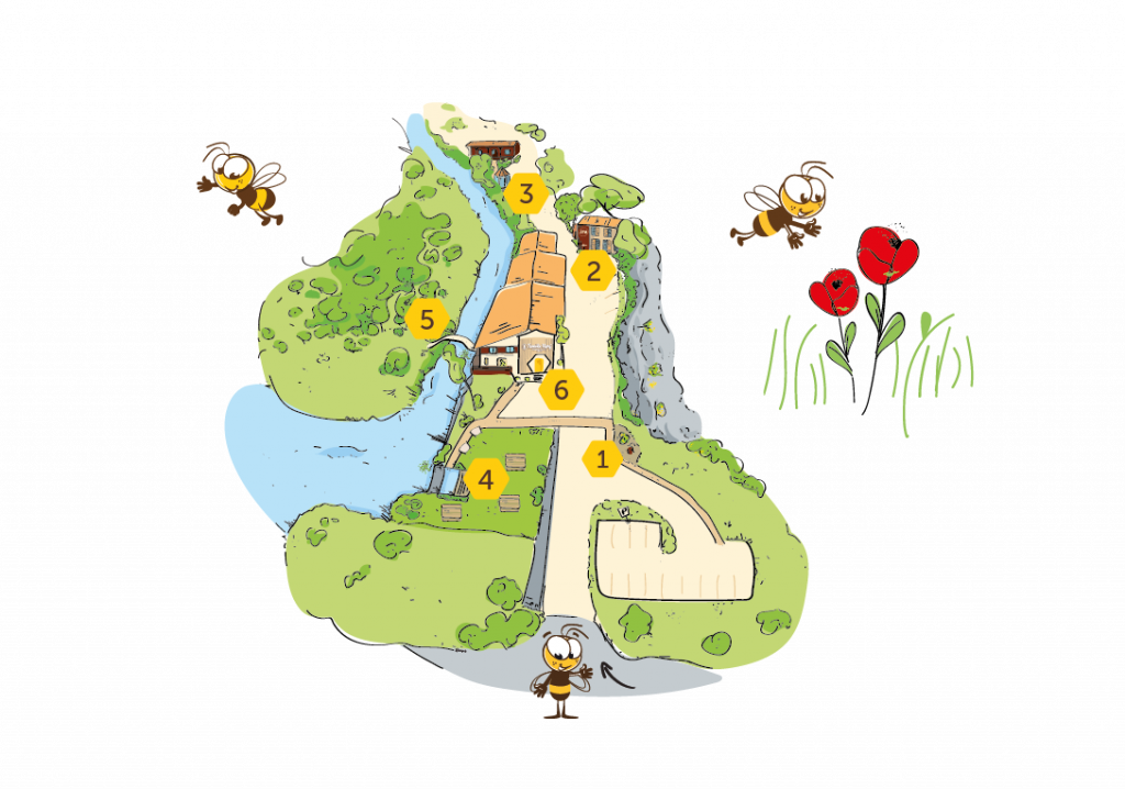 Plan de viste du site la ruche de Mary