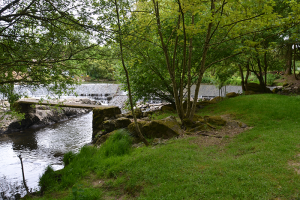 Promenade aux bords de la Moine