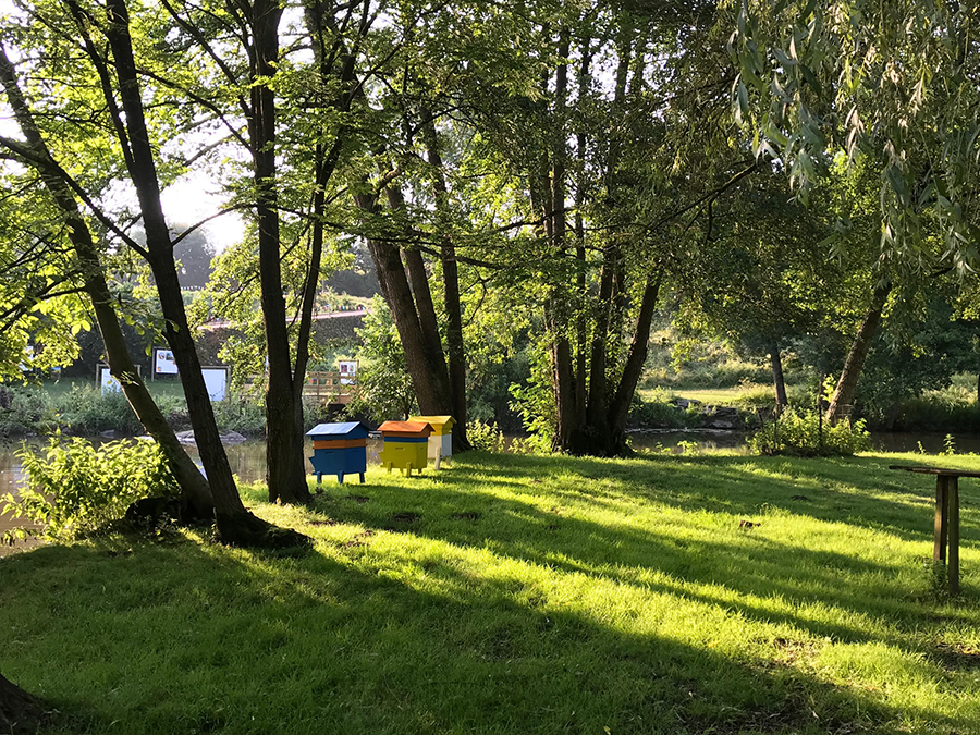 Promenade la bord de la rivière